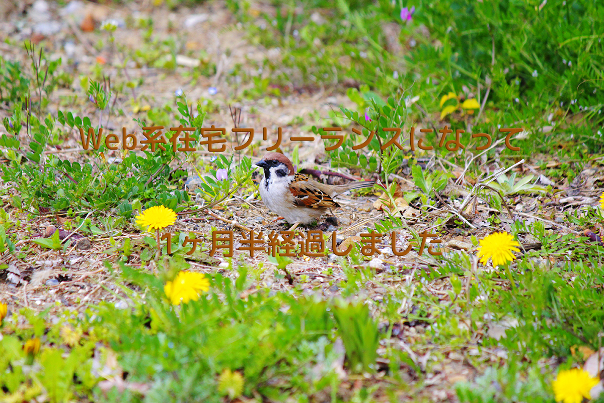 在宅フリーランスになって1ヶ月半経過しました