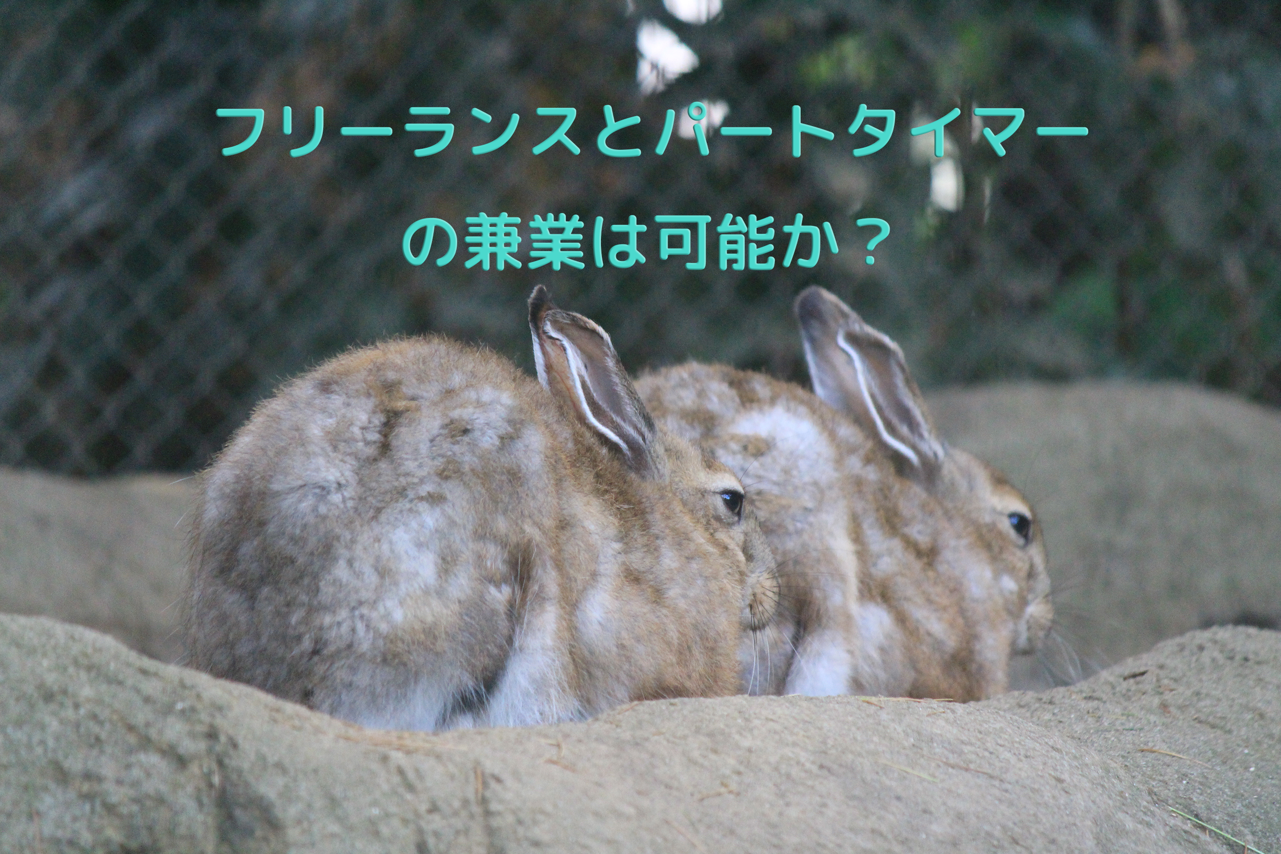 フリーランスとパートタイマーの兼業は可能か？