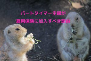 パートタイマー主婦が雇用保険に加入すべき理由